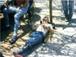 Bild 19